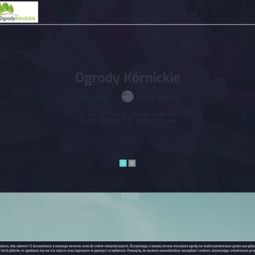 Drzewa iglaste szkółka Poznań