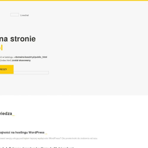 Program do projektowania nadruków na koszulkach