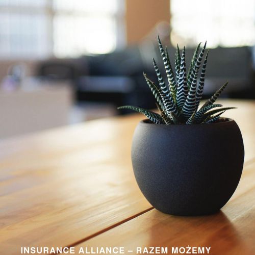 Multiagencje ubezpieczeniowe współpraca w Gdańsku